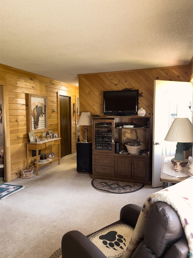 110 Hays Crk, Silver Bay, MN 55614 - living room featuring a textured ceiling, wood walls, and carpet flooring