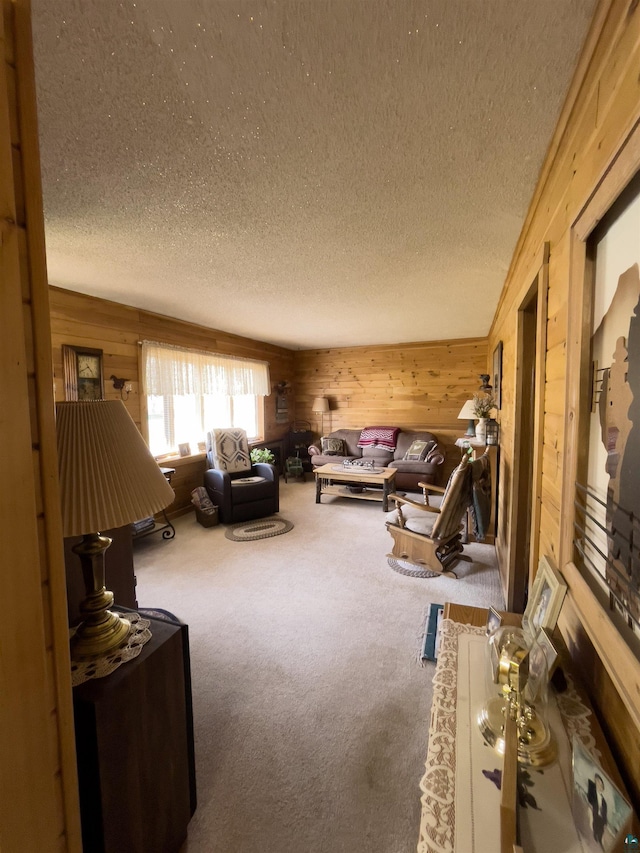 110 Hays Crk, Silver Bay, MN 55614 - carpeted living area with a textured ceiling and wood walls