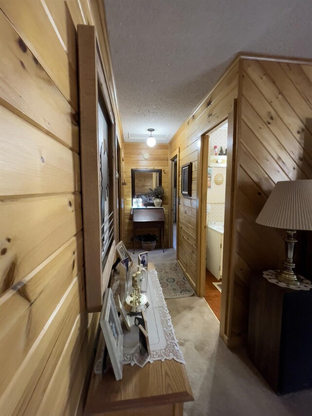 110 Hays Crk, Silver Bay, MN 55614 - hall featuring wooden walls, carpet, and a textured ceiling