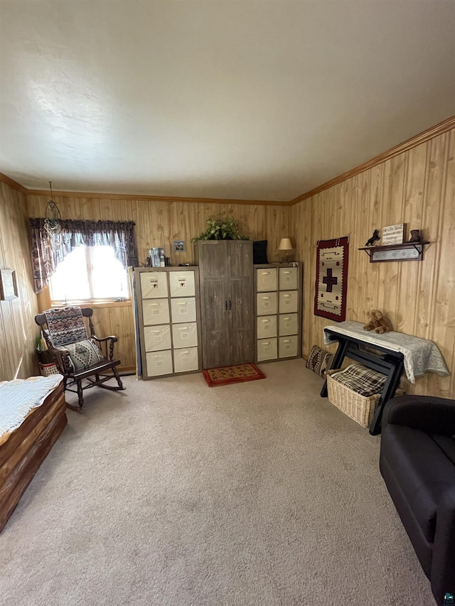 110 Hays Crk, Silver Bay, MN 55614 - living area with wood walls and light colored carpet
