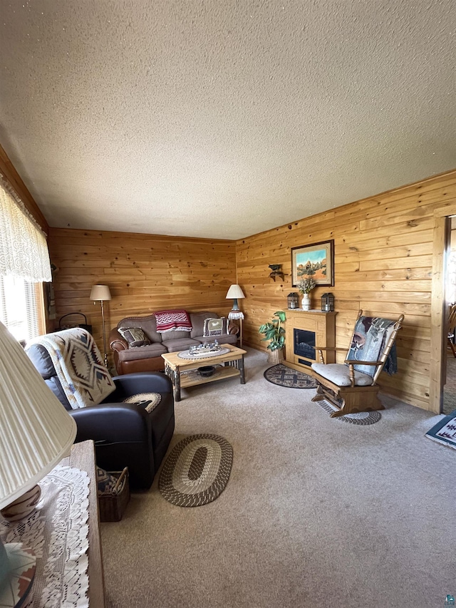 110 Hays Crk, Silver Bay, MN 55614 - living area featuring carpet, a textured ceiling, wood walls, and a glass covered fireplace