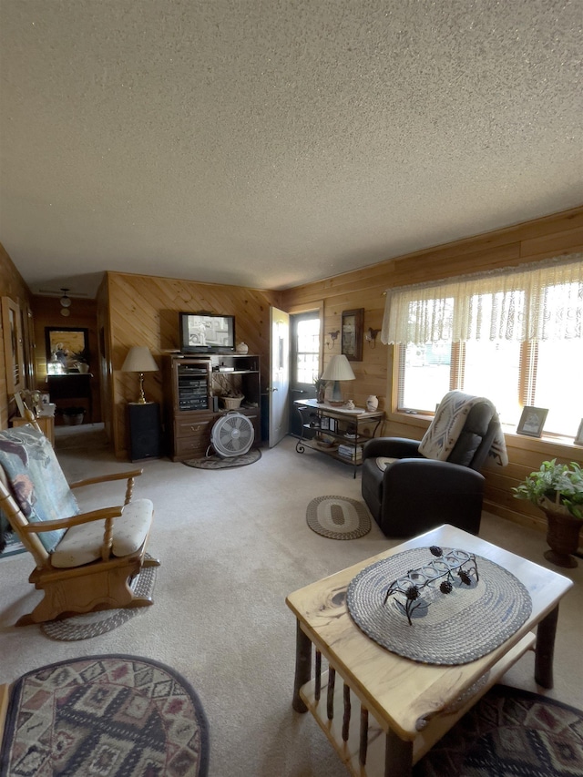 110 Hays Crk, Silver Bay, MN 55614 - carpeted living room featuring wood walls and a textured ceiling
