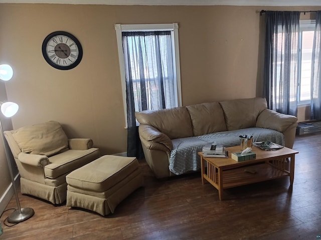 5806 Wadena St, Duluth, MN 55807 - living room with hardwood / wood-style flooring, healthy amount of natural light, and baseboards