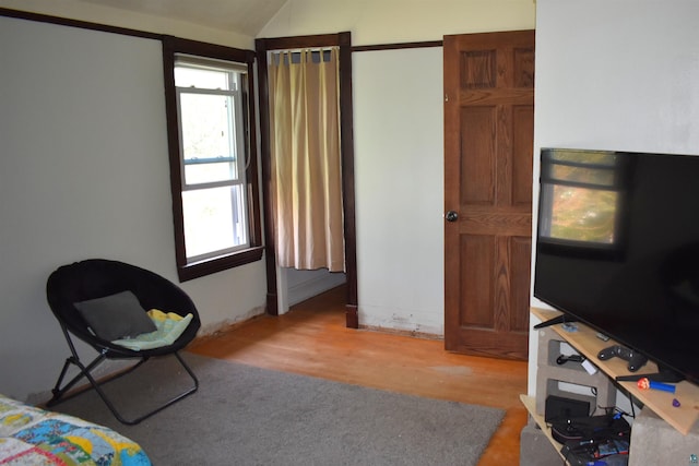 bedroom with multiple windows, light wood finished floors, and lofted ceiling
