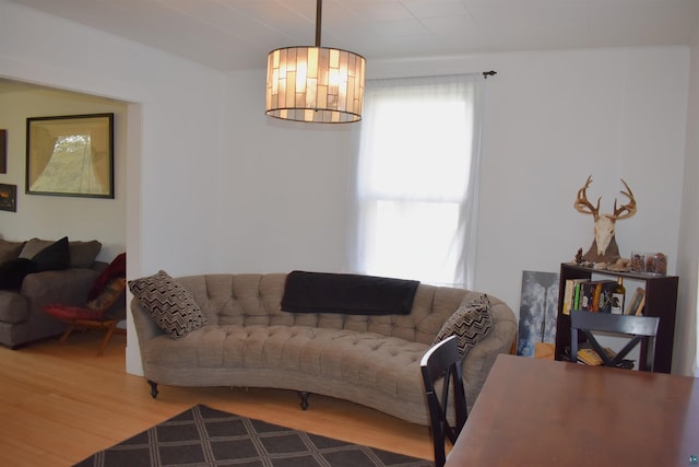 living room featuring wood finished floors