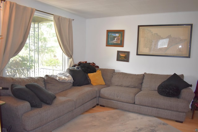 living room featuring light wood finished floors