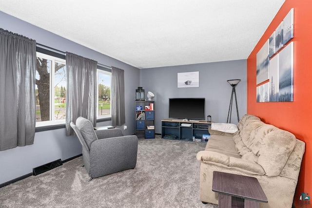 733 13th Ave, Two Harbors, MN 55616 - living room with carpet, a textured ceiling, and baseboards