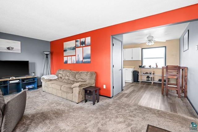 733 13th Ave, Two Harbors, MN 55616 - carpeted living room with a ceiling fan and baseboards