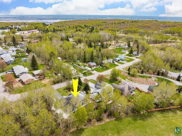 203 S 2nd Ave, Proctor, MN 55810 - aerial view of residential area with a heavily wooded area