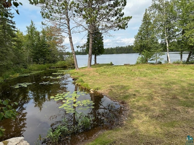1473 S Kane Lake Rd, Two Harbors, MN 55616 - water view