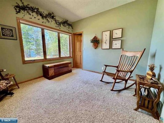 3622 Wildgate Rd, Ely, MN 55731 - sitting room with carpet flooring, baseboards, and a textured ceiling