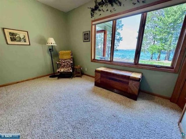 3622 Wildgate Rd, Ely, MN 55731 - living area with plenty of natural light, baseboards, and carpet flooring