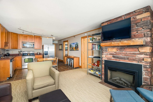 21 E Wisconsin St Unit 301, Grand Marais, MN 55616 - living room featuring track lighting, a large fireplace, and baseboards