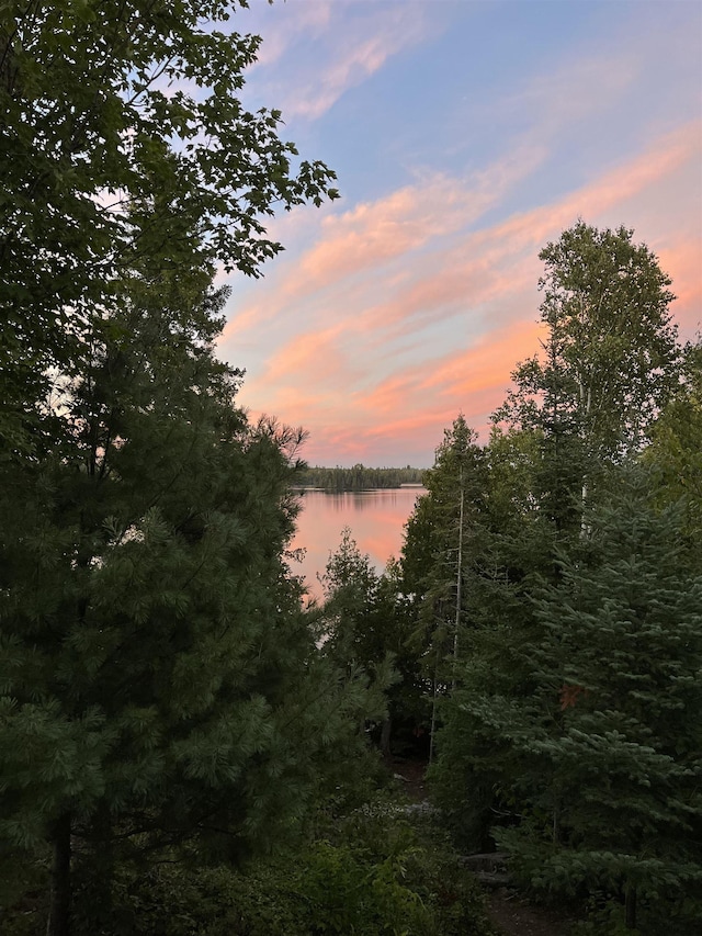 109 Tom Overlook Trl, Hovland, MN 55606 - water view