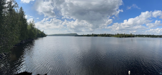 109 Tom Overlook Trl, Hovland, MN 55606 - water view