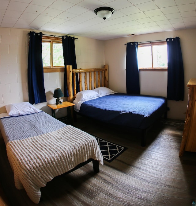 444 Fernberg Rd Unit 11, Ely, MN 55731 - bedroom featuring multiple windows and wood finished floors