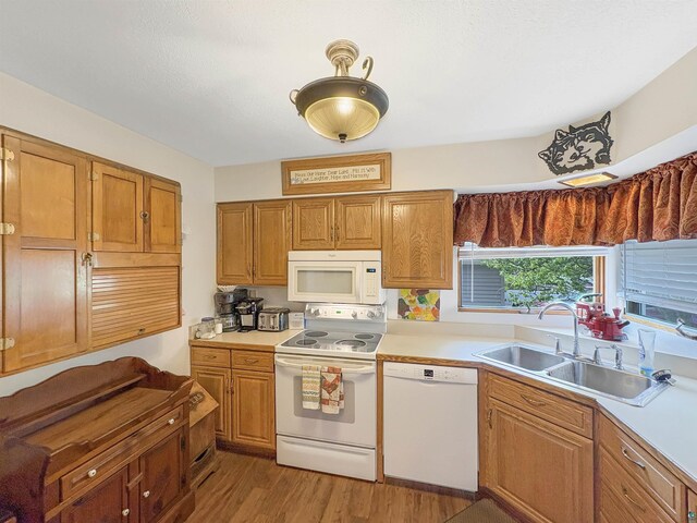 602 26th St, Cloquet, MN 55720 - kitchen featuring white appliances, a sink, light countertops, light wood-style floors, and brown cabinetry