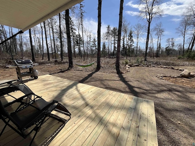 9884 Fredrickson Rd, Isabella, MN 55607