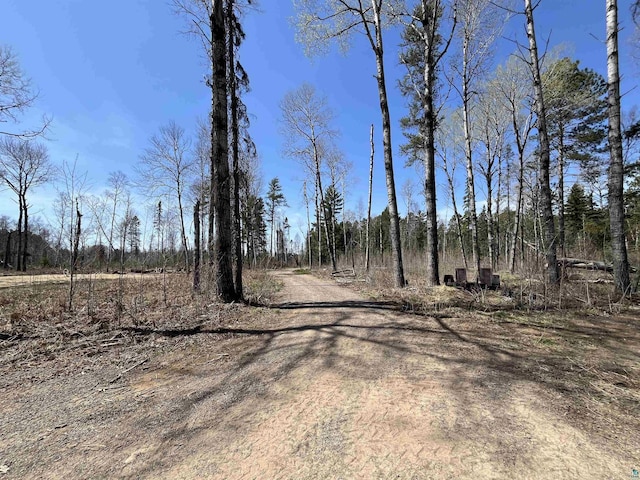 9884 Fredrickson Rd, Isabella, MN 55607