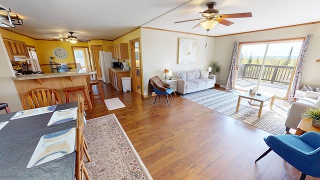 296 Cramer Rd, Schroeder, MN 55613 - living area featuring a ceiling fan, dark wood-style floors, healthy amount of natural light, and ornamental molding