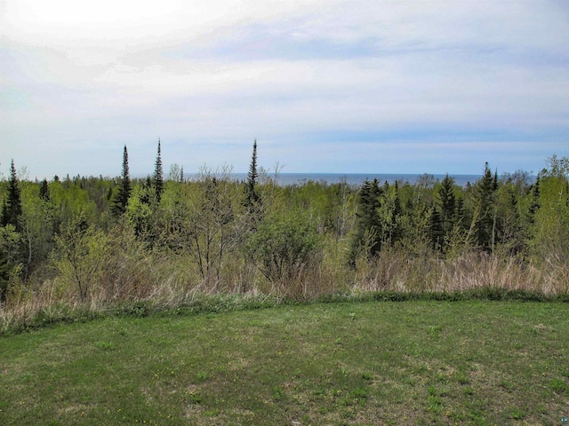 296 Cramer Rd, Schroeder, MN 55613 - view of yard
