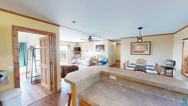 296 Cramer Rd, Schroeder, MN 55613 - dining space featuring ornamental molding, wood finished floors, and a ceiling fan