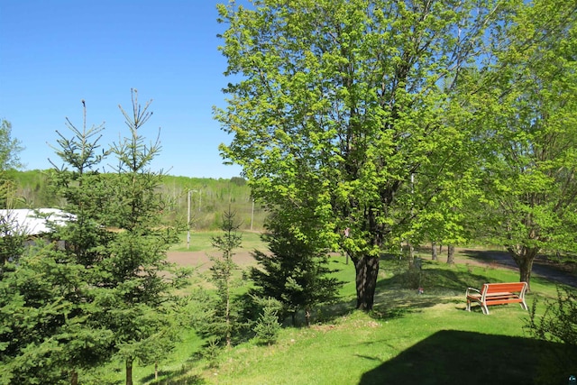2984 Hagen Rd, Duluth, MN 55804 - view of grassy yard