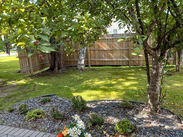 405 10th Ave, Two Harbors, MN 55616 - view of yard