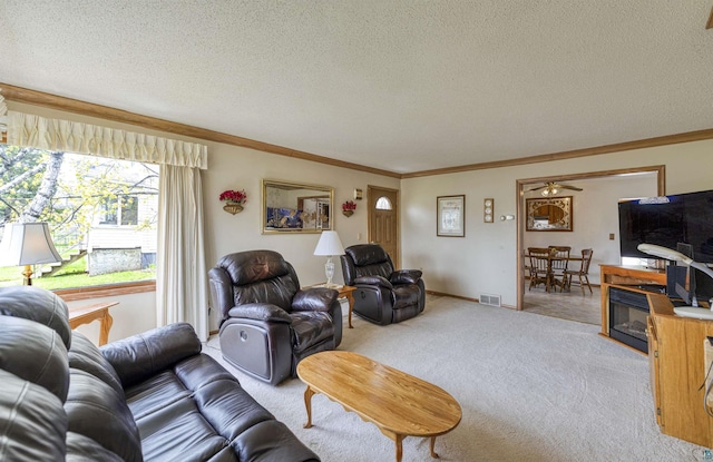 405 10th Ave, Two Harbors, MN 55616 - living room with carpet floors, crown molding, and a textured ceiling