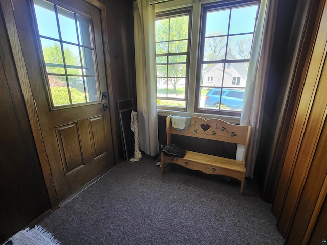 111 E Nebraska Ave, Gilbert, MN 55741 - doorway with carpet