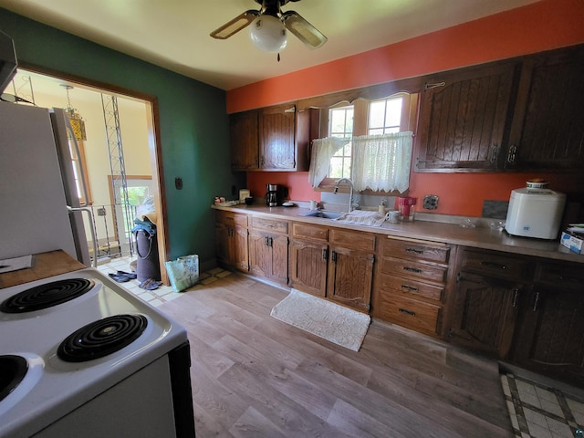 111 E Nebraska Ave, Gilbert, MN 55741 - kitchen with freestanding refrigerator, electric stove, a sink, ceiling fan, and light wood-style floors