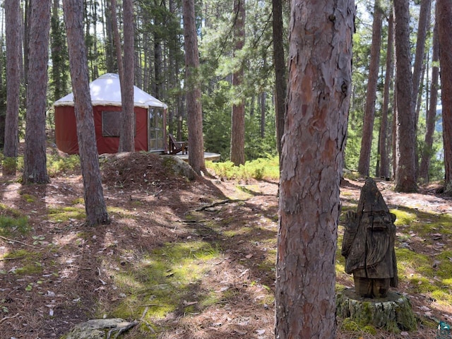 2928 Waters Is, Ely, MN 55731 - view of yard with a forest view
