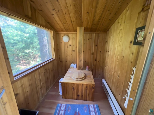 2928 Waters Is, Ely, MN 55731 - sauna with wood walls, wood finished floors, and wood ceiling