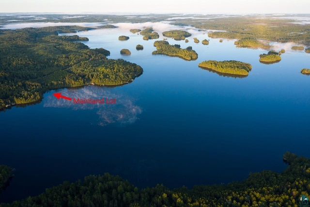 2928 Waters Is, Ely, MN 55731 - drone / aerial view of a heavily wooded area and a large body of water