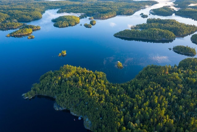 2928 Waters Is, Ely, MN 55731 - aerial view of a forest and a nearby body of water