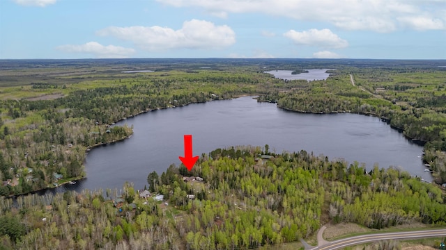 8845 Pequaywan Lake Rd, Duluth, MN 55803 - view of property location with a forest and a nearby body of water