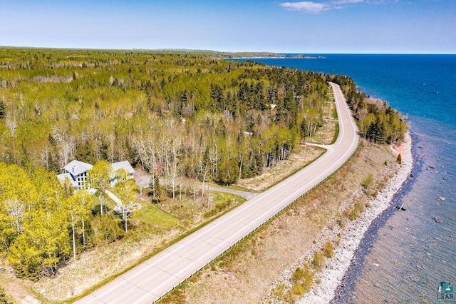 5491 N Shore Dr, Duluth, MN 55804 - bird's eye view of a forest and a nearby body of water