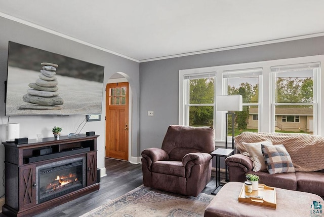 2120 Carlton Ave, Cloquet, MN 55720 - living room with arched walkways, ornamental molding, wood finished floors, baseboards, and a glass covered fireplace