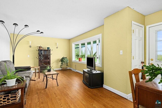 5152 Martin Rd, Duluth, MN 55811 - living room featuring wood finished floors, plenty of natural light, and baseboards