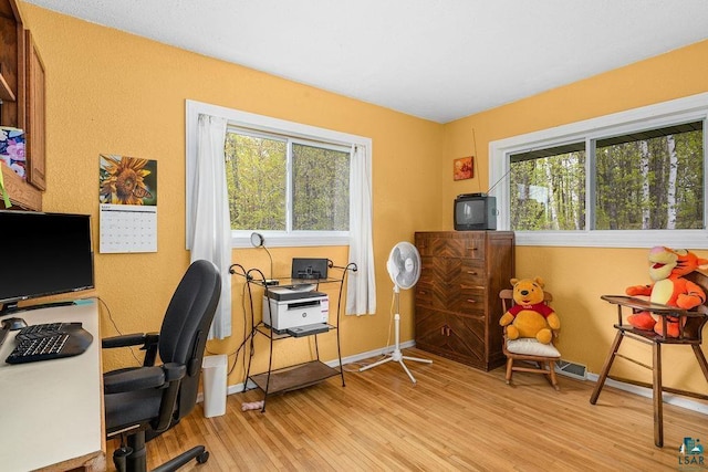5152 Martin Rd, Duluth, MN 55811 - office featuring light wood finished floors, plenty of natural light, and baseboards