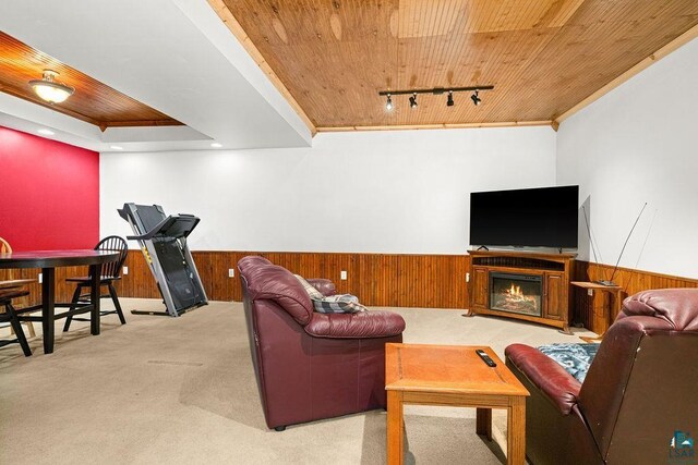 5152 Martin Rd, Duluth, MN 55811 - carpeted living room featuring wooden ceiling, wooden walls, wainscoting, ornamental molding, and rail lighting