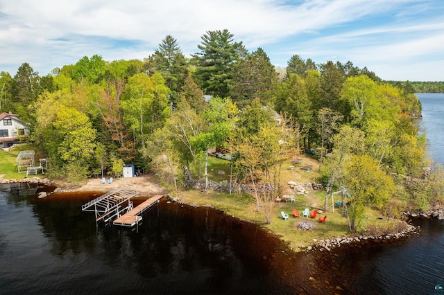 13359 Villa Rd, Ely, MN 55731 - bird's eye view of a nearby body of water and a forest