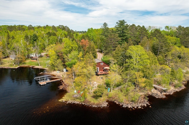 13359 Villa Rd, Ely, MN 55731 - drone / aerial view of a forest and a nearby body of water