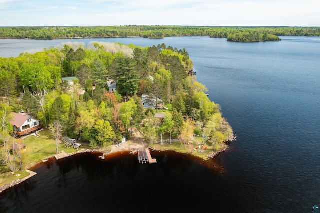 13359 Villa Rd, Ely, MN 55731 - aerial view of a large body of water and a heavily wooded area