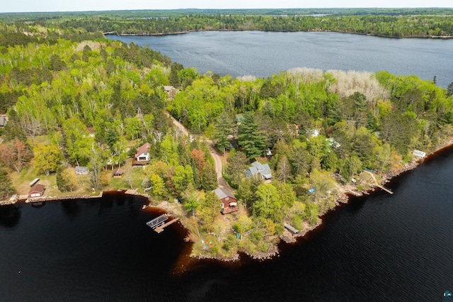 13359 Villa Rd, Ely, MN 55731 - drone / aerial view of a forest and a nearby body of water