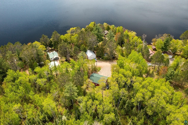13359 Villa Rd, Ely, MN 55731 - bird's eye view