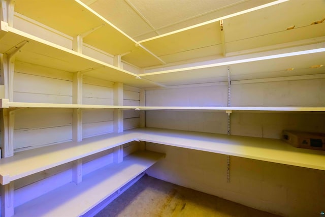 335 E Willow St, Duluth, MN 55811 - view of storage area