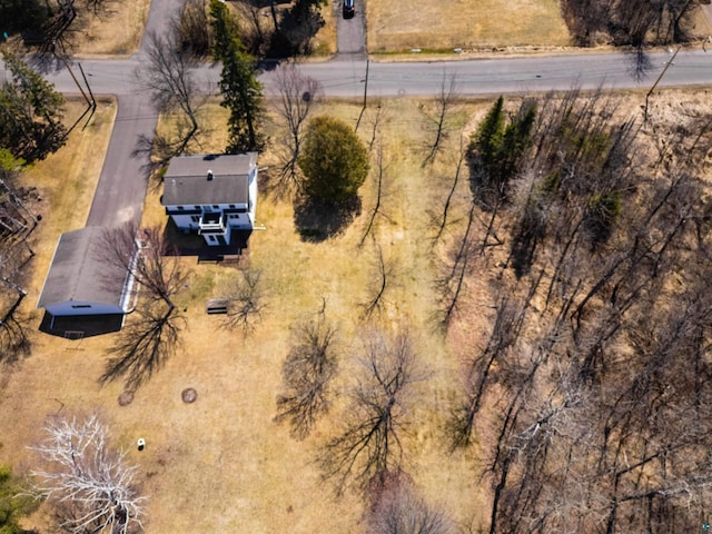335 E Willow St, Duluth, MN 55811 - view of subject property
