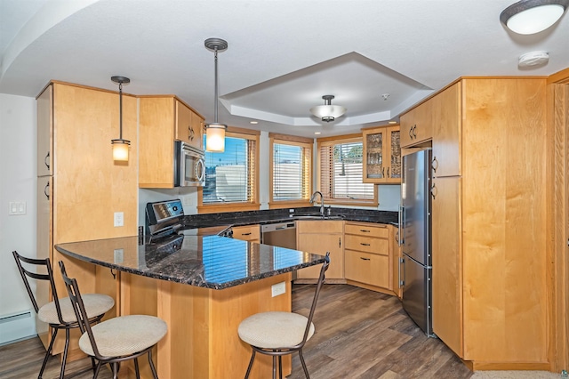 2126 Water St Unit L306, Duluth, MN 55812 - kitchen with appliances with stainless steel finishes, a peninsula, a sink, dark wood-type flooring, and a tray ceiling