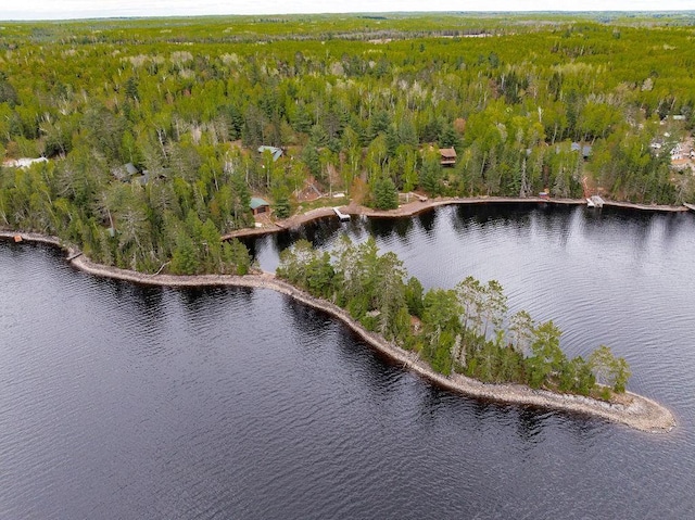 4015 E Van Rd, Duluth, MN 55803 - view of property location featuring a nearby body of water and a heavily wooded area